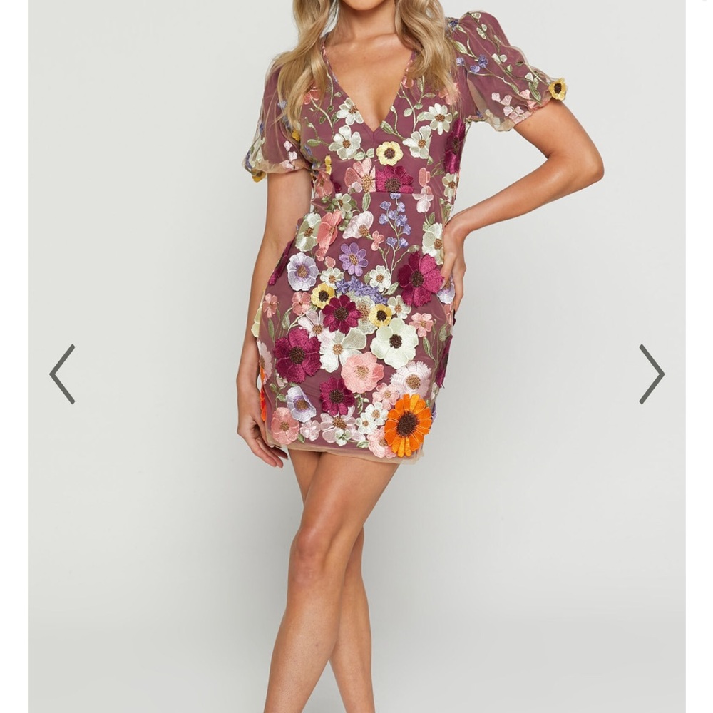 NWT Garden Flowers 3D V-Neck Mini Dress